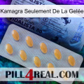 Kamagra Seulement De La Gelée 44